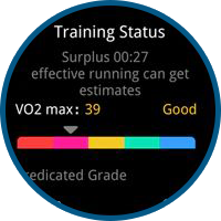 Zeblaze Stratos Training status 3