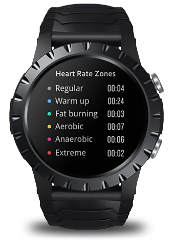 Zeblaze Stratos Heart Rate Zones