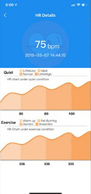 Zeblaze Vibe 3 ECG Function