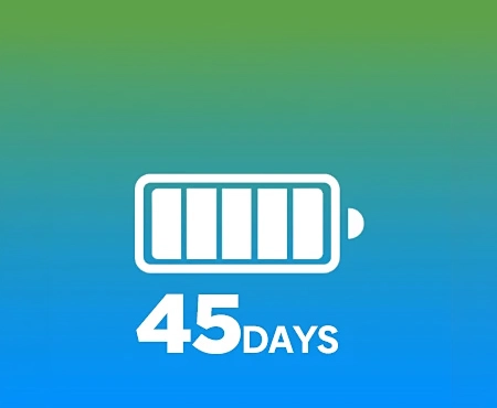 Power 45 days icon