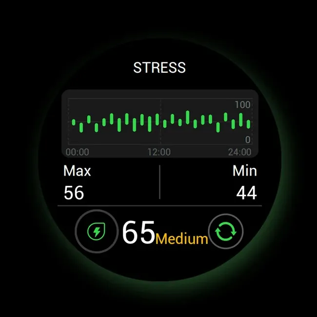 Zeblaze Stratos 3 Pro Stress level monitoring screen