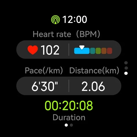 Zeblaze Stratos 4 Metrics screen