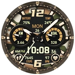 Zeblaze Stratos 4 Watch face 4