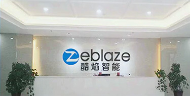 Zeblaze about company